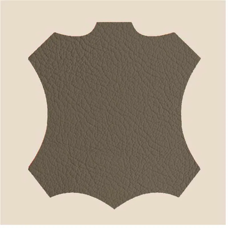 Sheraton Leather Skin _Cement