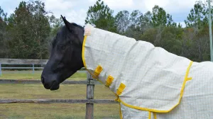 Showcraft Gold Canvas Ripstop Neckrug