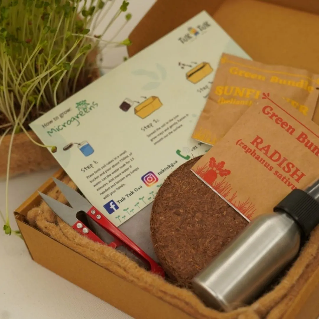 Sustainable Festive Gift Hamper with Microgreens Kit