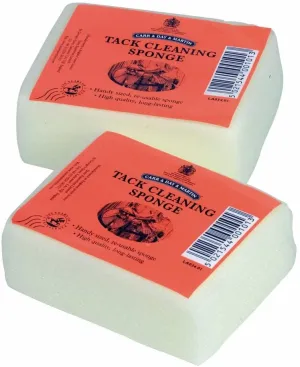 Tack Cleaning Sponge Small