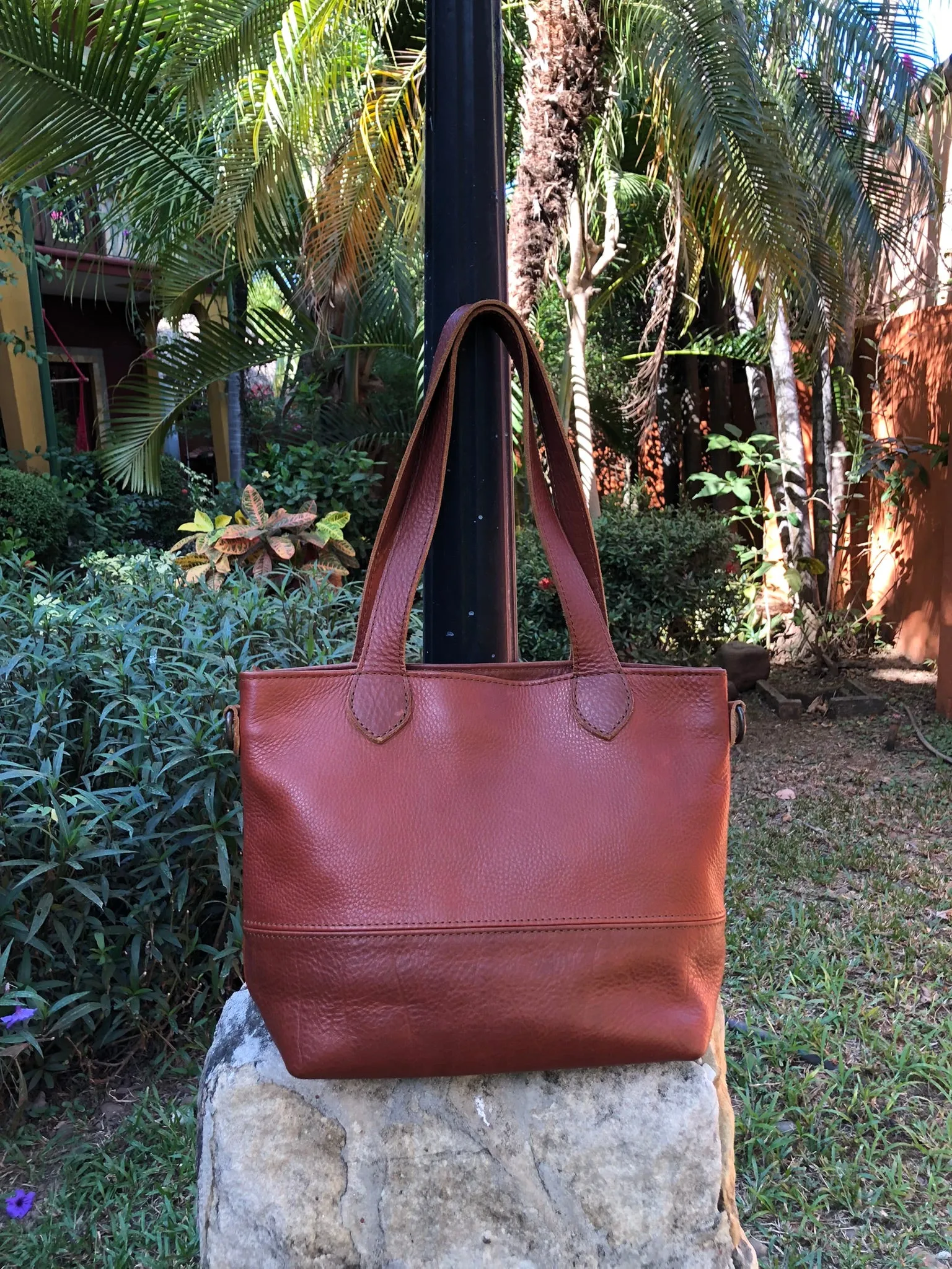 The Mini Texas Tote