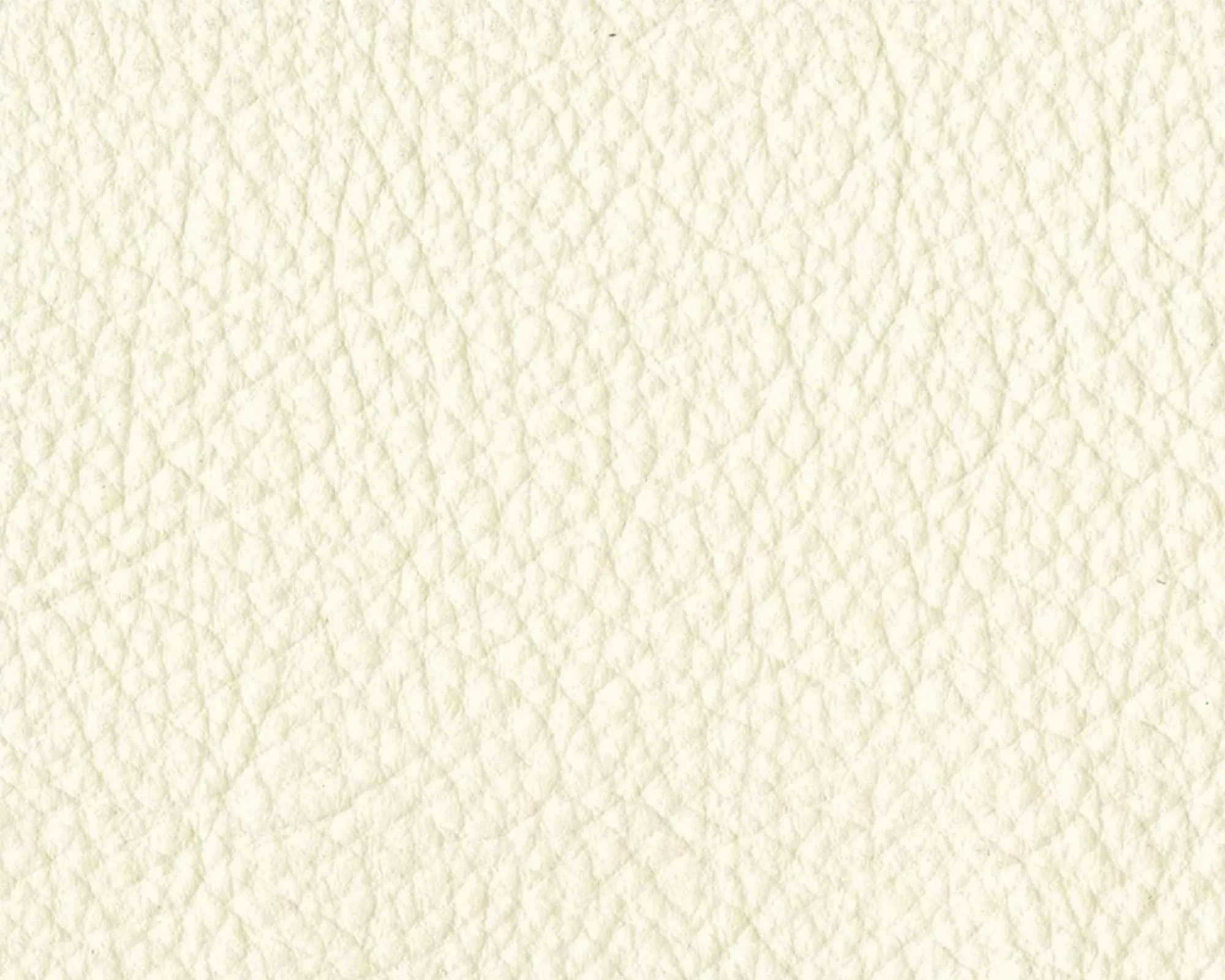 Thor Leather - 390