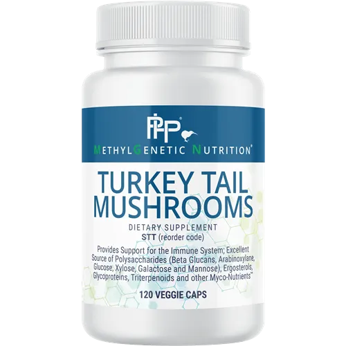 Turkey Tail Mushrooms