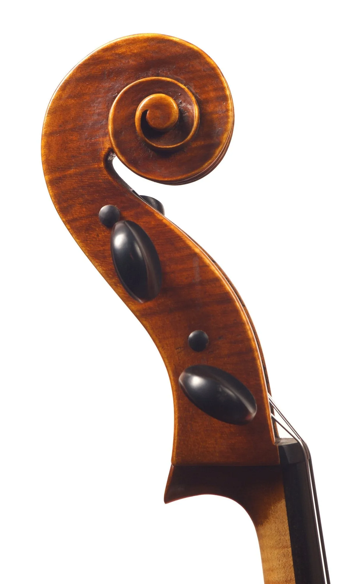 W.H. Lee Model 370 Cello