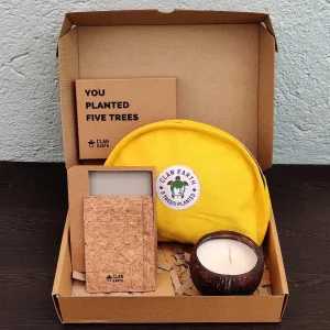 Women's Day Special  Eco Friendly Gift Kit - Gift Box with Eco Products