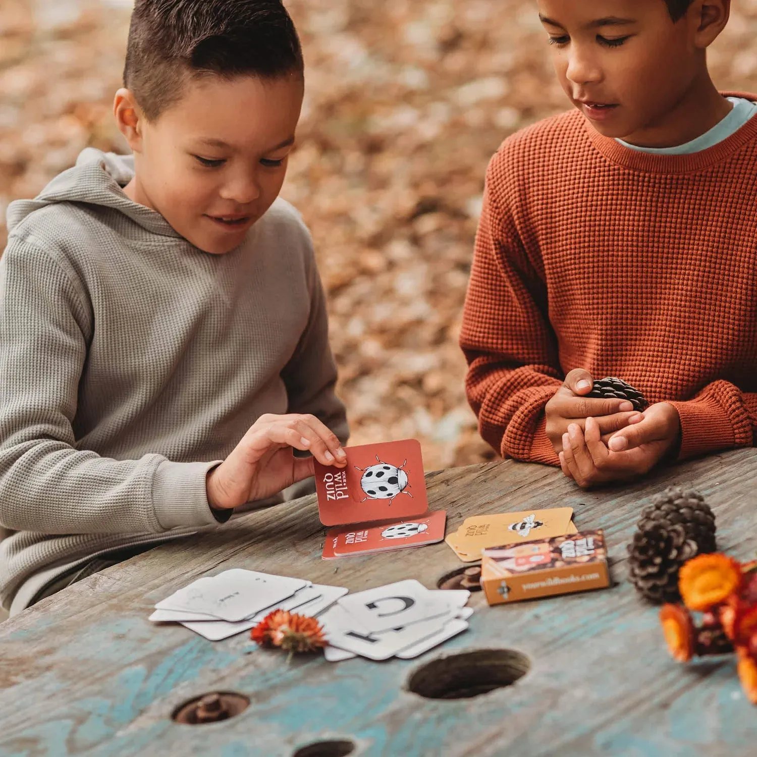 Your Wild - Wild Quiz Card Game